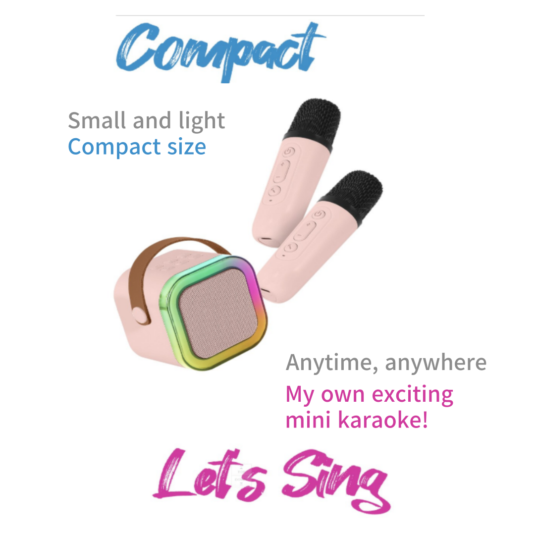 WIRELESS KARAOKE SPAKER (DOUBLE)