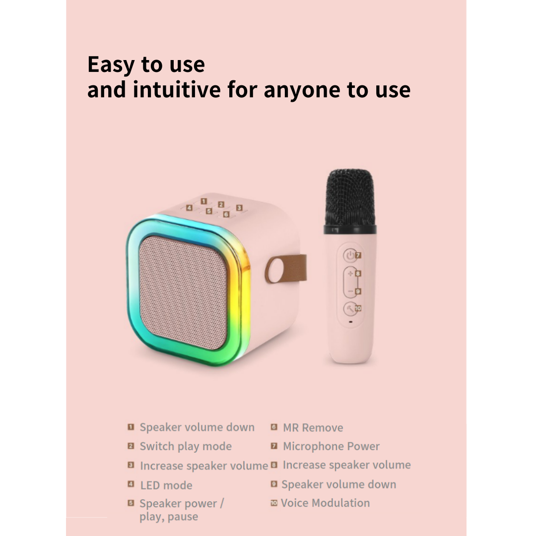 WIRELESS KARAOKE SPAKER (DOUBLE)