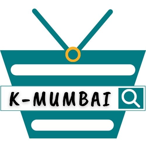 BIGSHINE INDIA EXIM PVT LTD