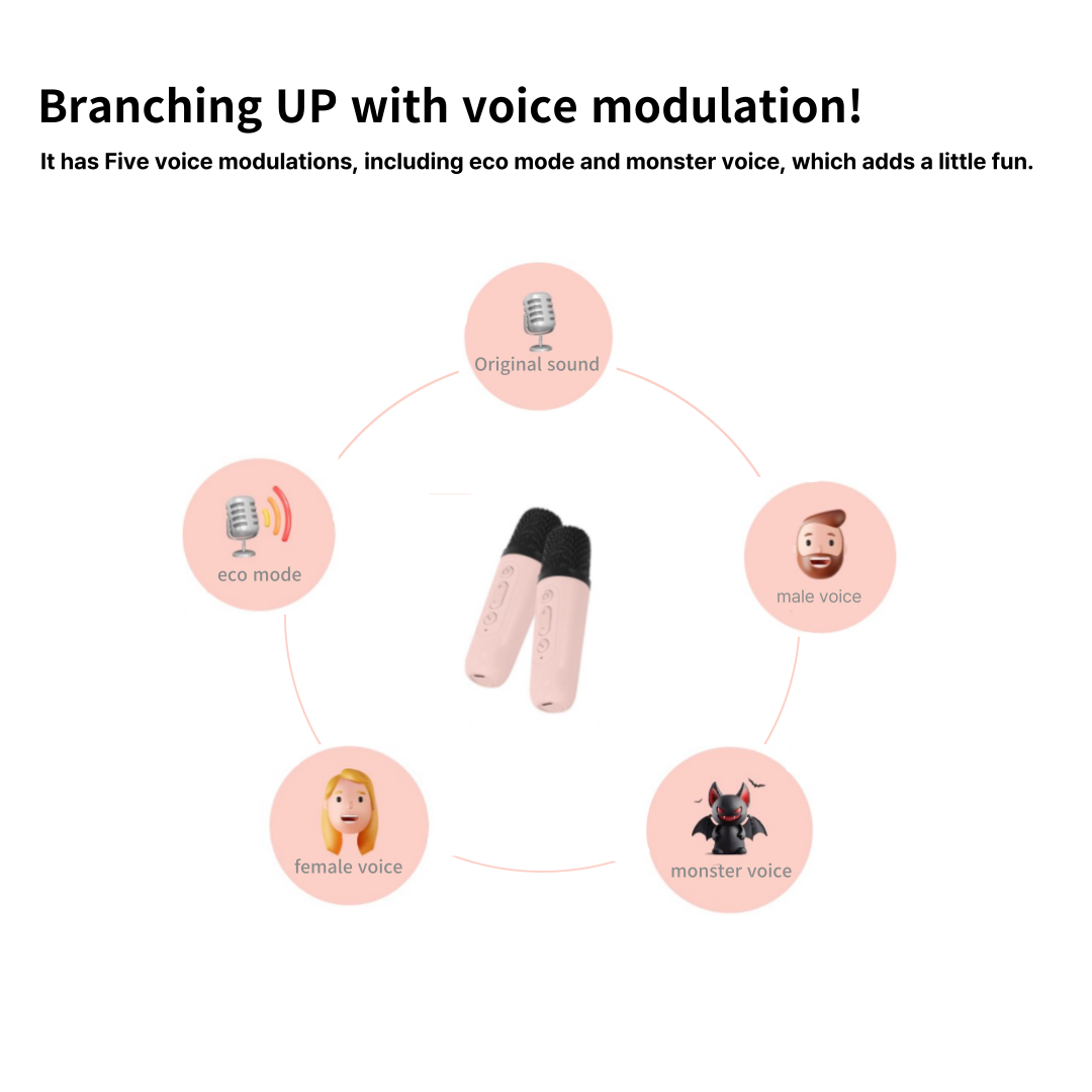 WIRELESS KARAOKE SPAKER (DOUBLE)