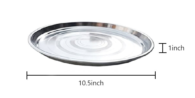 Set of 12 Stainless Steel Round Heavy Gauge Dinner Plate with Circle Design 10.5inch
